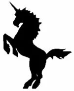 Nelson rugby club crest